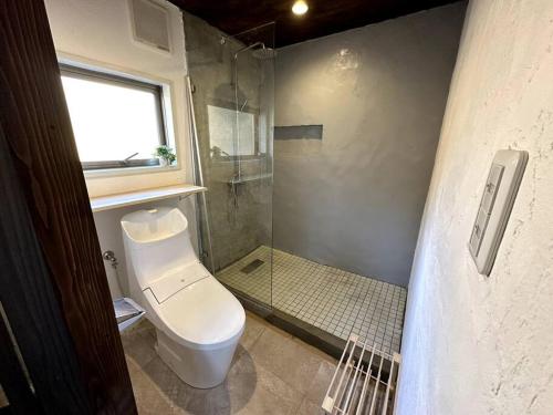 a bathroom with a toilet and a shower at AOBA Hakuba self-contained home in Hakuba