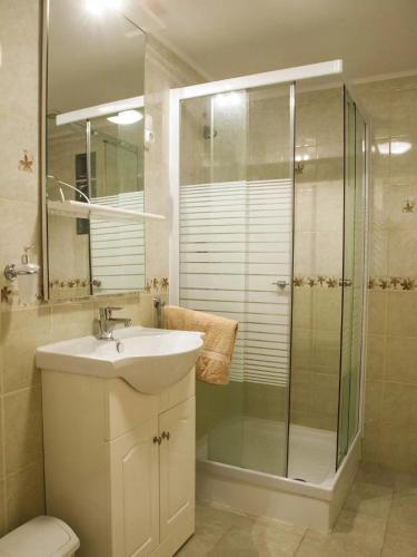a bathroom with a sink and a glass shower at Dunai Gyöngy Vendégház in Kisapostag