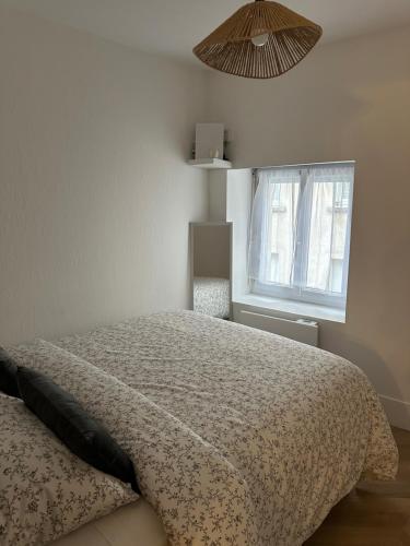 um quarto com uma cama e uma janela em Appartement Haut Standing em Orléans