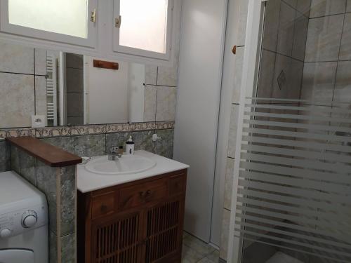 a bathroom with a sink and a shower at Villa L'Orée du bois in Le Mont-Dore