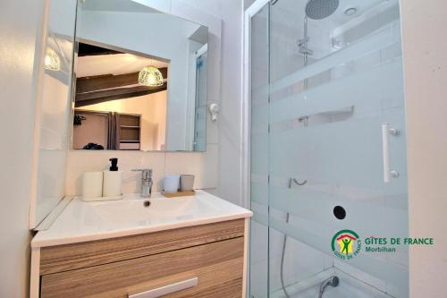 a bathroom with a sink and a shower at Au charme des bois in Plouhinec