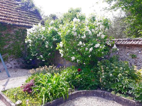 a garden with white flowers on a wall at L'HEURE BLEUE in Orbais