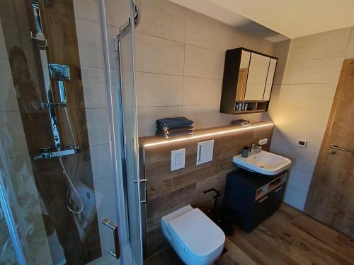 WaldershofにあるFerienwohnung AlpakasvomWeissensteinのシャワー、トイレ、洗面台を備えたバスルーム