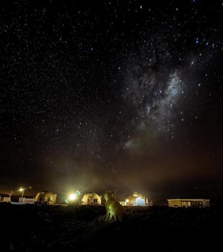 a dog sitting under a night sky with the milky way at Entre Dunas y Caracolas in Punta de Choros