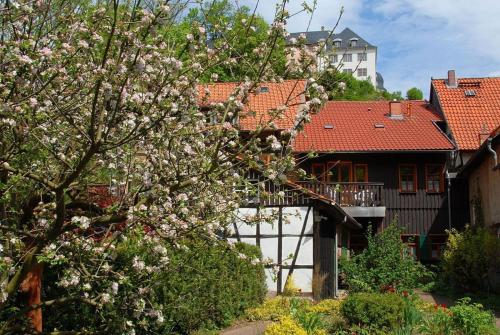 un árbol con flores blancas delante de una casa en Ferienhaus-Urlaub-in-Stolberg, en Stolberg im Harz