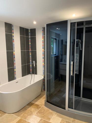 une grande salle de bain avec baignoire et douche dans l'établissement Mesnie SAS, à Reugny