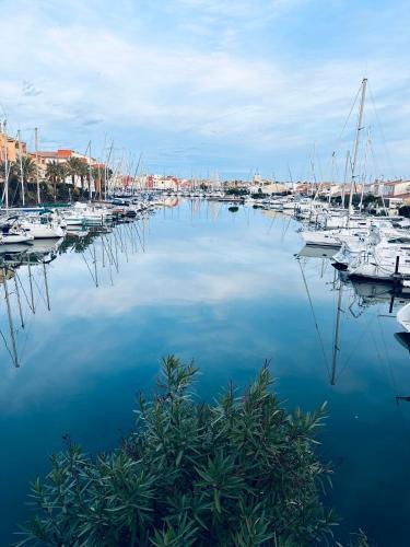Duplex sur Marinas Cap d'Agde photo 10