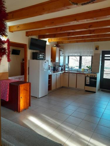 eine Küche mit einem weißen Kühlschrank und einem Herd in der Unterkunft Casa Geo in Breaza de Jos