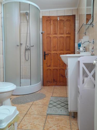 ein Bad mit einer Dusche, einem WC und einem Waschbecken in der Unterkunft Casa Geo in Breaza de Jos