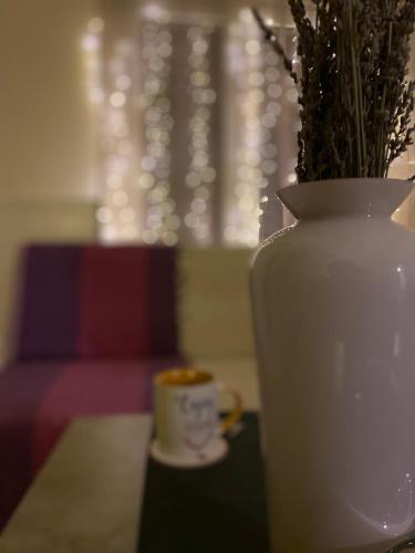 Χώρος καθιστικού στο Cozy Flat