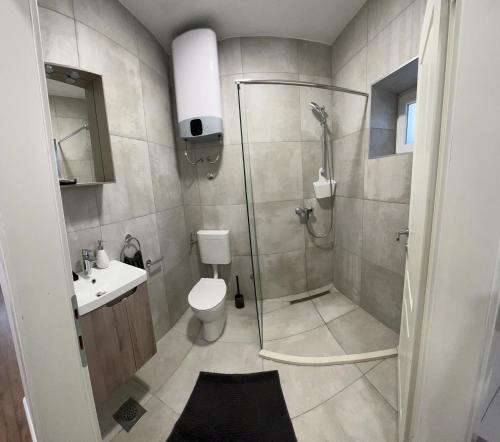 a bathroom with a shower and a toilet and a sink at Vila Petra in Trebinje