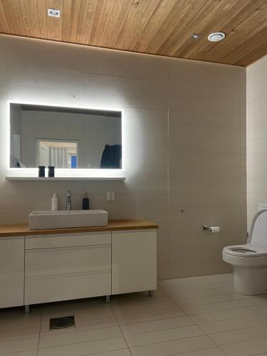 La salle de bains est pourvue d'un lavabo et de toilettes. dans l'établissement Grand Hideout Lake Päijänne, à Vääksy