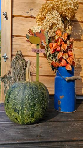 a pumpkin sitting next to a blue vase with flowers at Kotula in AdamÃ³w