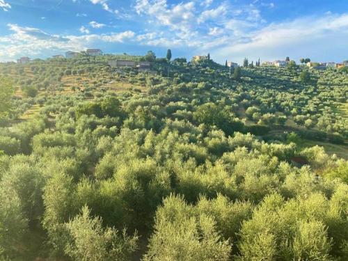 SeanoにあるCasa tranquilla colonica toscana vicino a Firenzeの木々の茂る緑地の上空