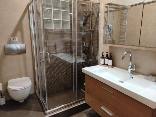 a bathroom with a shower and a toilet and a sink at Vista mare by Oikies Rentals in Neoi Epivates