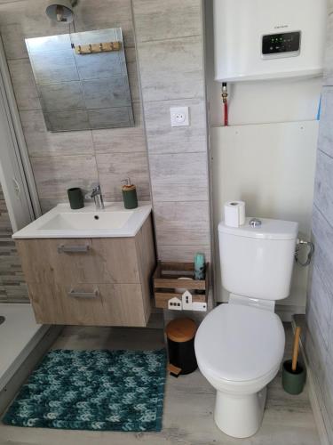 a bathroom with a white toilet and a sink at Tahiti Beach, T2 à la mer, piscine, terrasse et parking in Frontignan