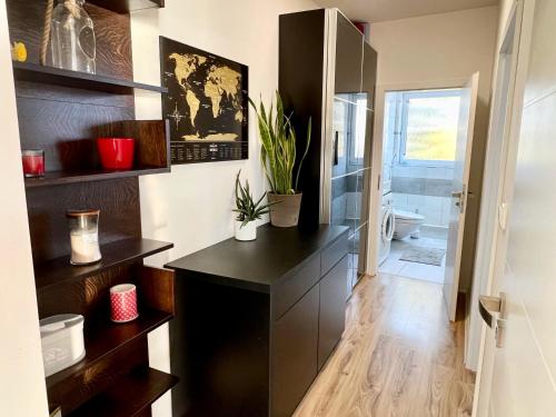 Fotografie z fotogalerie ubytování Apartment Brno- BBQ terrace v destinaci Husovice