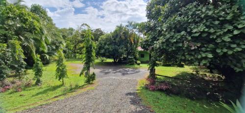 Gallery image of Finca Mamacita in Rusia
