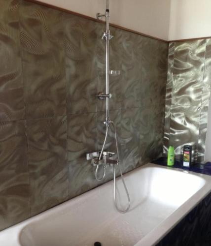 a bath tub with a shower in a bathroom at Iarimbato Hotel in Antananarivo