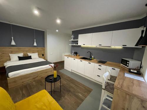 Kjøkken eller kjøkkenkrok på SCANDIC apartments-feels like home!