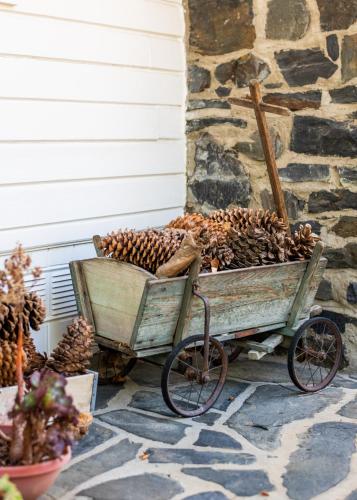 a wheelbarrow filled with pine cones on a patio at Inn at Sugar Pine Ranch in Groveland