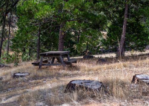 a picnic table sitting in the middle of a field at Inn at Sugar Pine Ranch in Groveland
