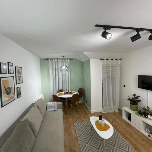 クルシェヴァツにあるApartman Elementのソファとテーブルのあるリビングルーム