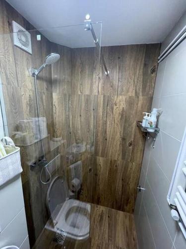 Apartman Elementにあるバスルーム