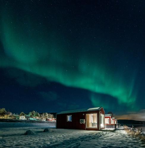 a house under the northern lights in the sky at Norwegian Wild in Vangsvik
