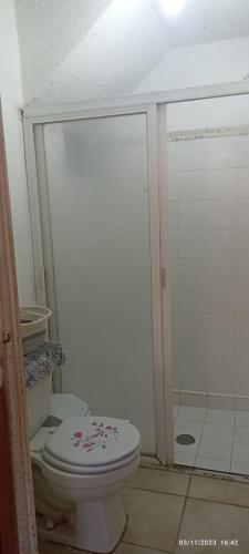 a bathroom with a toilet and a shower at ZIHUA TAANAJ in Zihuatanejo