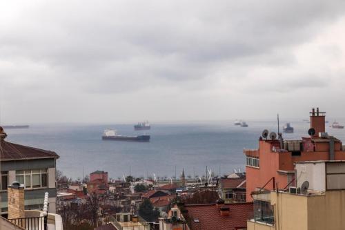 vistas a una ciudad con barcos en el agua en The Omiya Hotel, en Estambul