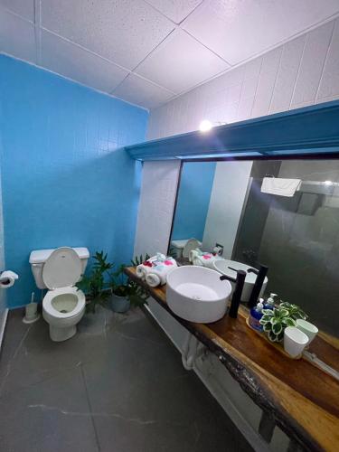 a bathroom with a sink and a toilet and a mirror at Sand and Tan Beach Hotel in Ocho Rios