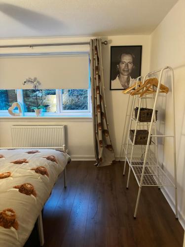 a bedroom with a bunk bed and a ladder at Geddes View in East Kilbride