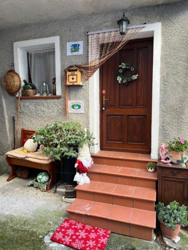 Zahrada ubytování B&B Ameglia