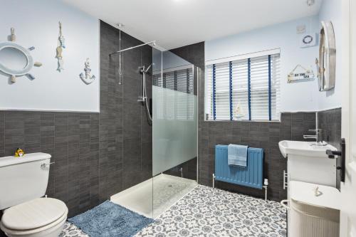 a bathroom with a toilet and a shower and a sink at Ballycastle Bolthole in Ballycastle