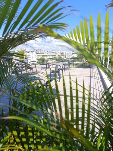 a view of tables and chairs from a palm tree at LINCOLN SUITE in Santo Domingo