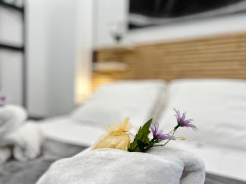 Apartamento en la Gran Manzana