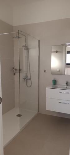 Bilik mandi di Apartamentos Falcón