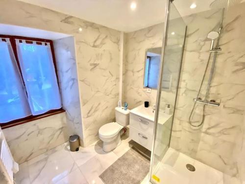 La salle de bains est pourvue d'une douche, de toilettes et d'un lavabo. dans l'établissement Maison individuelle atypique sur 2 étages, à Bar-sur-Aube