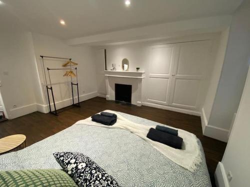 a living room with a bed and a fireplace at Maison individuelle atypique sur 2 étages in Bar-sur-Aube