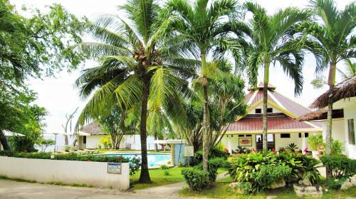 Aed väljaspool majutusasutust Quo Vadis Dive Resort