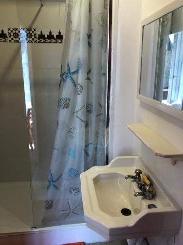 a bathroom with a sink and a shower at L'hôte des voyageurs en pays limousin 2 in Lacelle