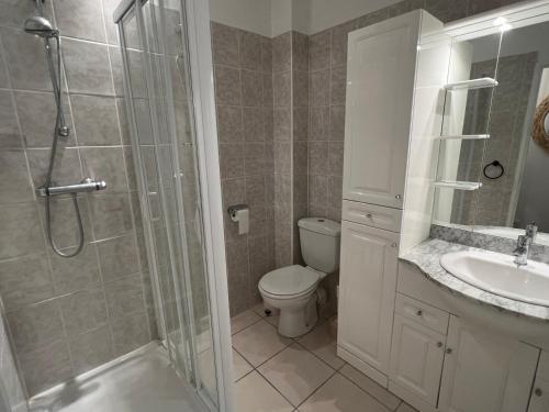 y baño con ducha, aseo y lavamanos. en Le Veymont Élégance Montagnarde, en Villard-de-Lans
