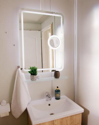 a bathroom with a white sink and a mirror at Greta Hillside in Buceş-Vulcan