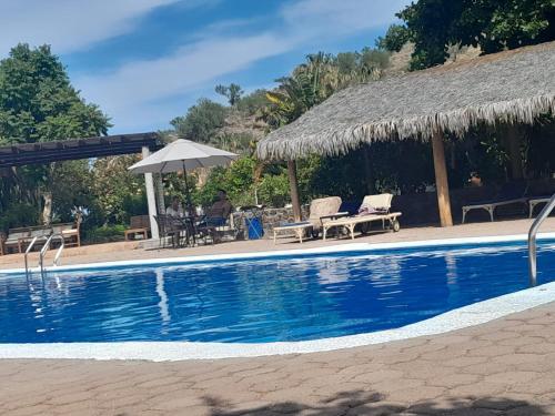 Πισίνα στο ή κοντά στο Tripui Hotel