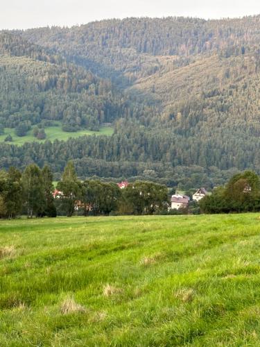 a field of green grass with a mountain in the background at Wichrowe Wzgórze 4 in Rajcza
