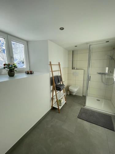 La salle de bains est pourvue d'une douche, de toilettes et d'une douche en verre. dans l'établissement Ferienwohnung Jägerheim, à Bürserberg