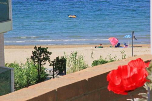 Gallery image of Di Matteo Hotel in Roseto degli Abruzzi
