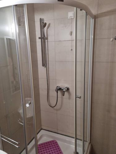 a shower in a bathroom with a glass door at Apartman 151 U u Aparthotelu Vučko Jahorina - private host in Jahorina