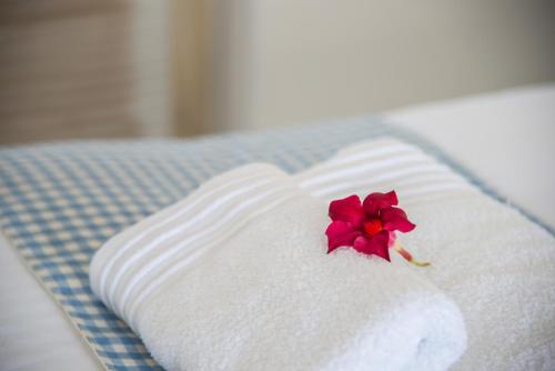 a red flower sitting on top of a white towel at Cycladic Islands Hotel & Spa in Agia Anna Naxos
